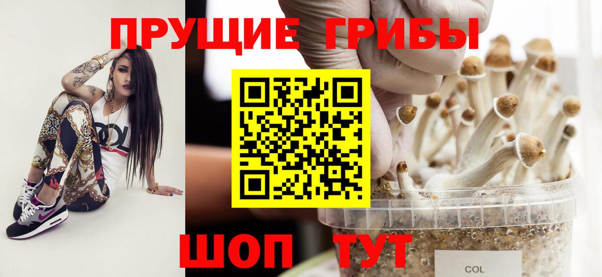 Псилоцибиновые грибы Cubensis  цена   Вход с VPN  Санкт-Петербург  Галлюциногенные грибы ЛСД 